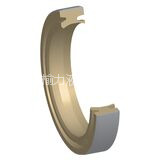 Dual Purpose Resilon® Pony Rod Seal for Frac and Mud Pumps